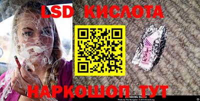 прущие грибы Среднеуральск