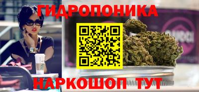 прущие грибы Среднеуральск